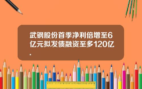 武钢股份首季净利倍增至6亿元拟发债融资至多120亿.