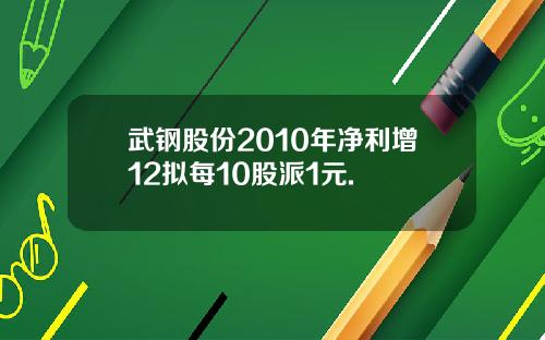 武钢股份2010年净利增12拟每10股派1元.