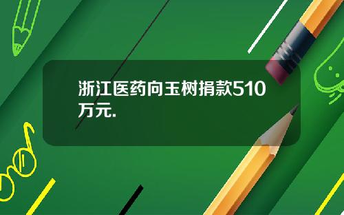 浙江医药向玉树捐款510万元.
