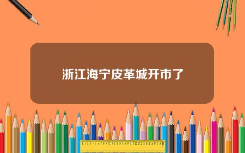 浙江海宁皮革城开市了