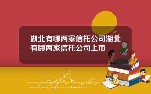 湖北有哪两家信托公司湖北有哪两家信托公司上市