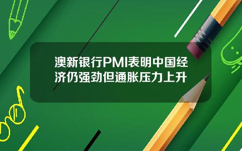 澳新银行PMI表明中国经济仍强劲但通胀压力上升