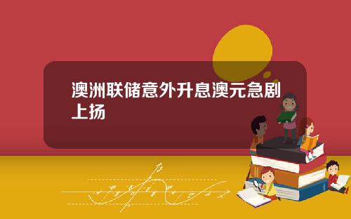 澳洲联储意外升息澳元急剧上扬
