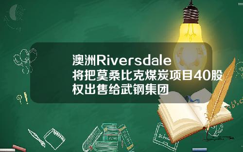 澳洲Riversdale将把莫桑比克煤炭项目40股权出售给武钢集团