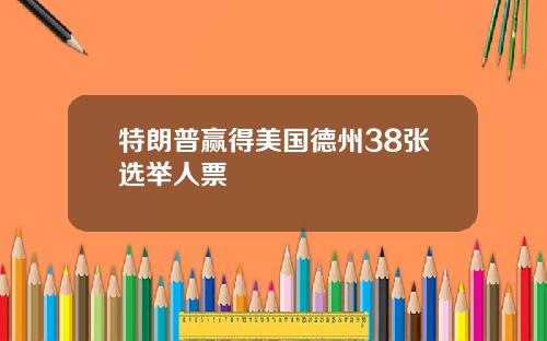 特朗普赢得美国德州38张选举人票