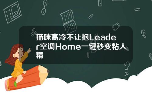 猫咪高冷不让抱Leader空调Home一键秒变粘人精