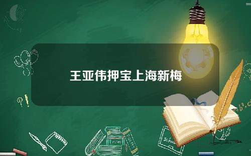 王亚伟押宝上海新梅