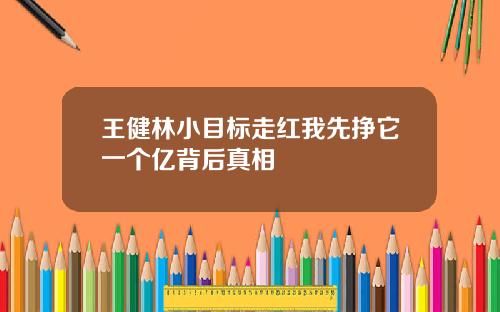 王健林小目标走红我先挣它一个亿背后真相
