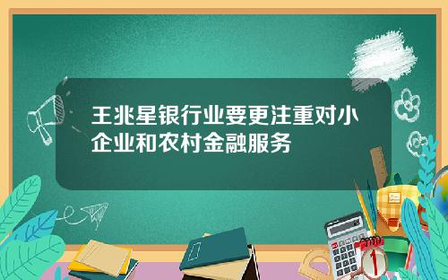 王兆星银行业要更注重对小企业和农村金融服务