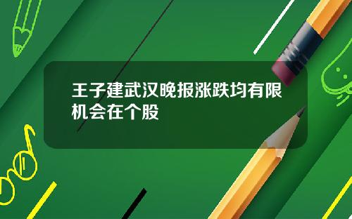 王子建武汉晚报涨跌均有限机会在个股