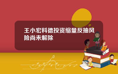 王小宏科德投资缩量反抽风险尚未解除