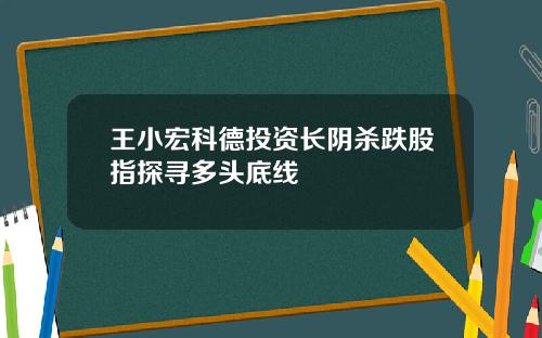 王小宏科德投资长阴杀跌股指探寻多头底线