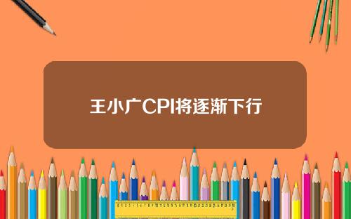 王小广CPI将逐渐下行