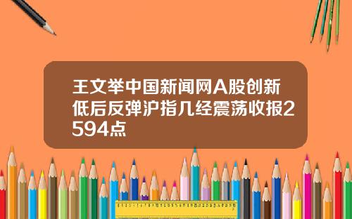 王文举中国新闻网A股创新低后反弹沪指几经震荡收报2594点