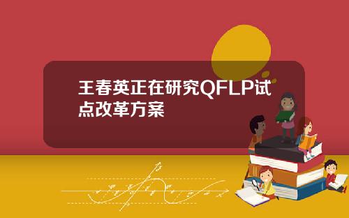 王春英正在研究QFLP试点改革方案