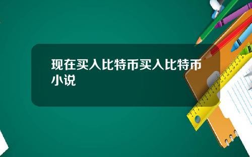 现在买入比特币买入比特币小说