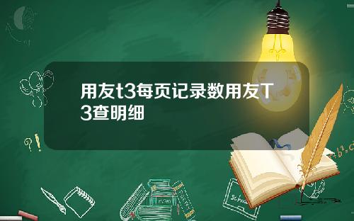 用友t3每页记录数用友T3查明细