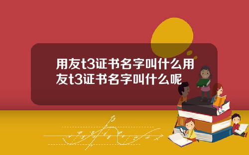 用友t3证书名字叫什么用友t3证书名字叫什么呢