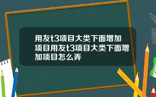用友t3项目大类下面增加项目用友t3项目大类下面增加项目怎么弄