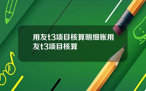 用友t3项目核算明细账用友t3项目核算