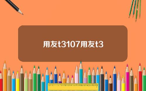 用友t3107用友t3