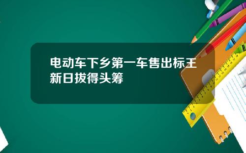 电动车下乡第一车售出标王新日拔得头筹