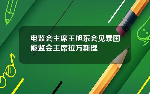 电监会主席王旭东会见泰国能监会主席拉万斯理