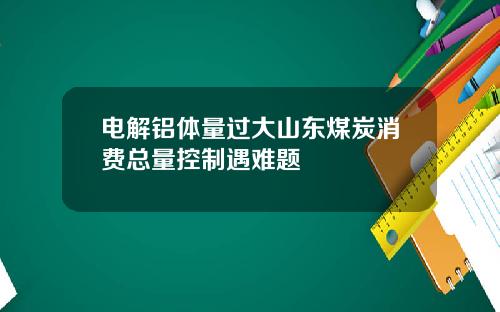 电解铝体量过大山东煤炭消费总量控制遇难题