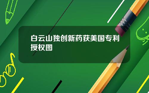 白云山独创新药获美国专利授权图