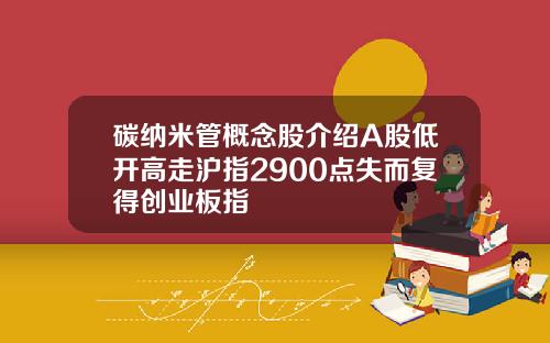 碳纳米管概念股介绍A股低开高走沪指2900点失而复得创业板指
