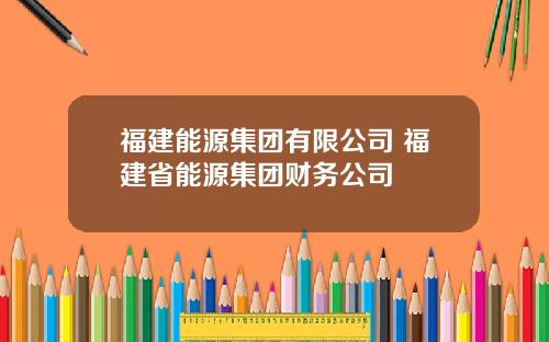 福建能源集团有限公司 福建省能源集团财务公司