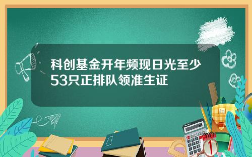 科创基金开年频现日光至少53只正排队领准生证