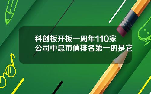 科创板开板一周年110家公司中总市值排名第一的是它