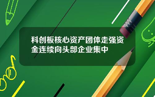 科创板核心资产团体走强资金连续向头部企业集中
