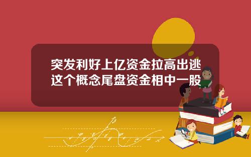 突发利好上亿资金拉高出逃这个概念尾盘资金相中一股