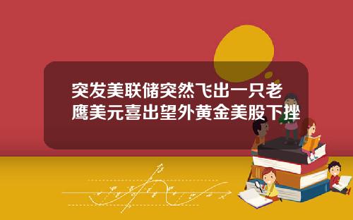 突发美联储突然飞出一只老鹰美元喜出望外黄金美股下挫