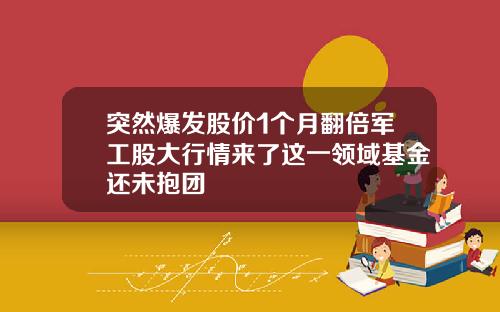 突然爆发股价1个月翻倍军工股大行情来了这一领域基金还未抱团