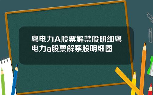 粤电力A股票解禁股明细粤电力a股票解禁股明细图