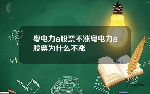 粤电力a股票不涨粤电力a股票为什么不涨