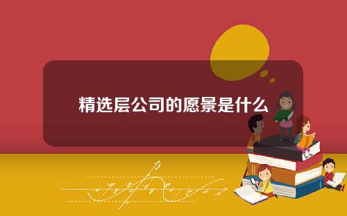精选层公司的愿景是什么