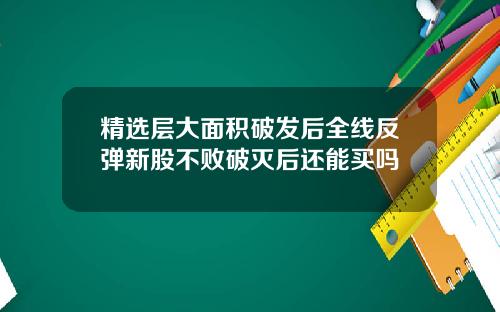 精选层大面积破发后全线反弹新股不败破灭后还能买吗