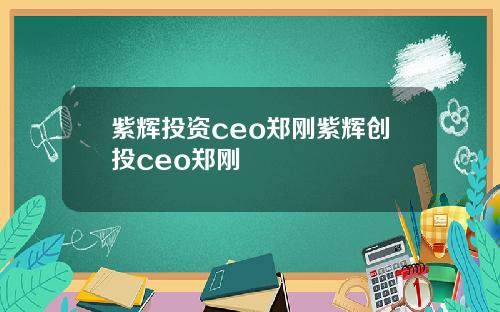 紫辉投资ceo郑刚紫辉创投ceo郑刚