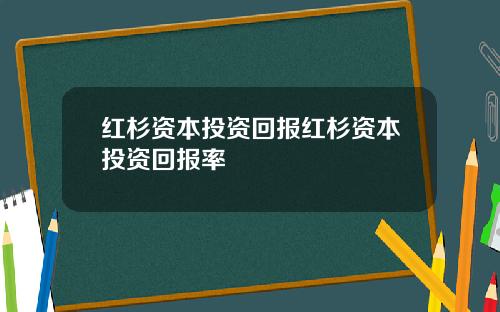 红杉资本投资回报红杉资本投资回报率