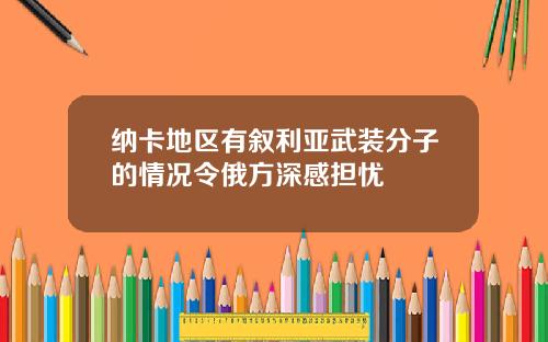 纳卡地区有叙利亚武装分子的情况令俄方深感担忧
