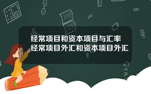 经常项目和资本项目与汇率经常项目外汇和资本项目外汇