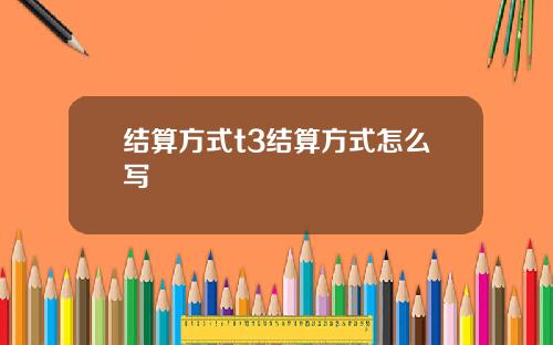 结算方式t3结算方式怎么写