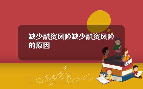 缺少融资风险缺少融资风险的原因