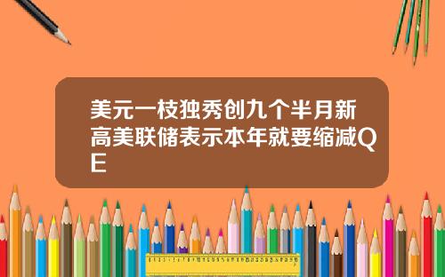美元一枝独秀创九个半月新高美联储表示本年就要缩减QE