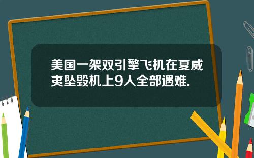 美国一架双引擎飞机在夏威夷坠毁机上9人全部遇难.