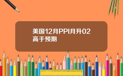 美国12月PPI月升02高于预期